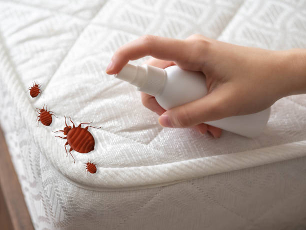 Trusted Grosse Pointe Woods, MI Pest control Experts